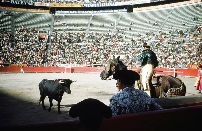 Framed Print : Bull fighting in Acapulco Framed Print : Bull fighting in Acapulco