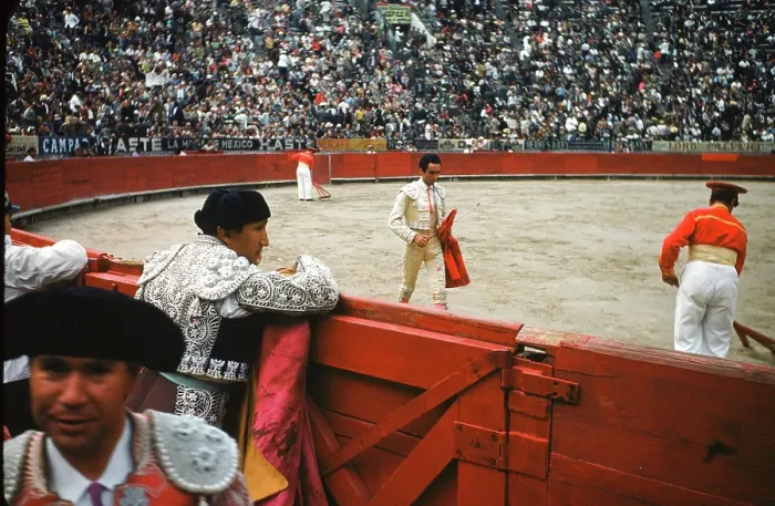 Framed Print : Bull fighting in Acapulco Framed Print : Bull fighting in Acapulco