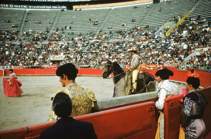 Framed Print : Bull fighting in Acapulco Framed Print : Bull fighting in Acapulco