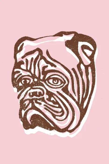Framed Print : Bulldog. http: / / csaimages.com / images / istockprofile / csa_vector_dsp.jpg Framed Print : Bulldog. http: / / csaimages.com / images / istockprofile / csa_vector_dsp.jpg