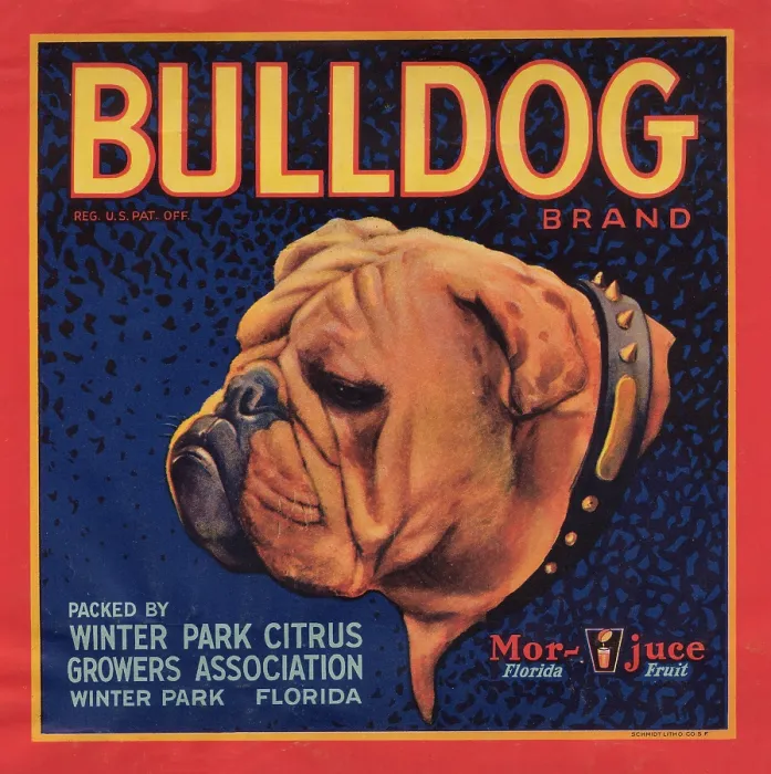 Framed Print : Bulldog Brand Framed Print : Bulldog Brand