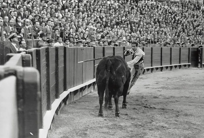 Framed Print : Bullfighter Antonio Ordonez About to Kill A Bull Framed Print : Bullfighter Antonio Ordonez About to Kill A Bull