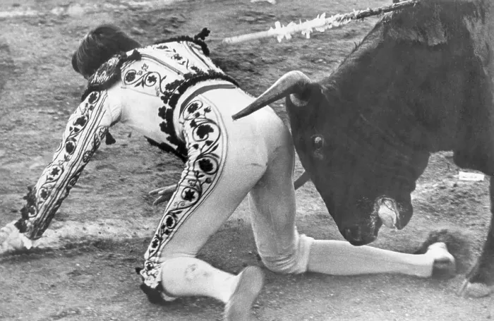Framed Print : Bullfighter Getting a Nudge From the Bull Framed Print : Bullfighter Getting a Nudge From the Bull