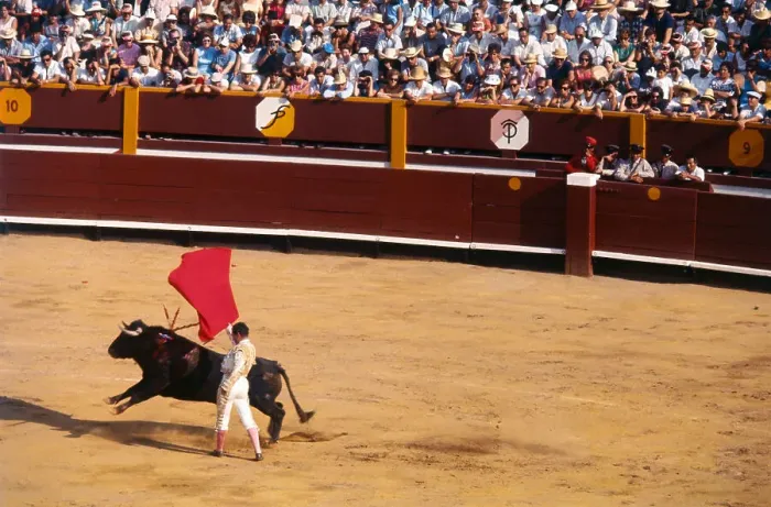 Framed Print : Bullfighter Teasing Bull