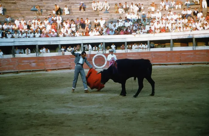 Framed Print : Bullfighting in Mexico City Framed Print : Bullfighting in Mexico City