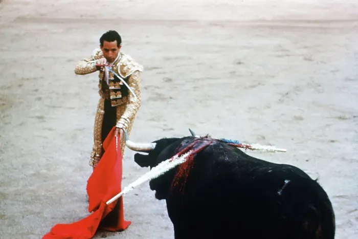 Framed Print : Bullfighting in Mexico City Framed Print : Bullfighting in Mexico City