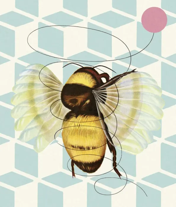 Framed Print : Bumble Bee Framed Print : Bumble Bee