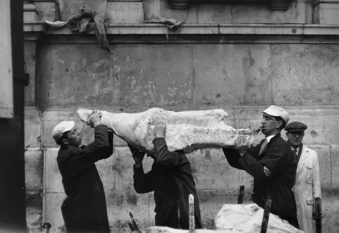 Framed Print : Bummarees. 11th February 1956: Smithfield meat porters handling a side of beef Framed Print : Bummarees. 11th February 1956: Smithfield meat porters handling a side of beef