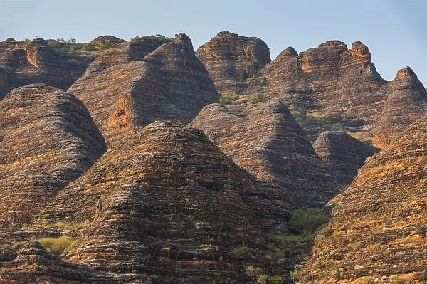 Bungle Bungles, beehive-shaped sandstone towers, Purnululu National Park, UNESCO World Heritage Site, Eastern Kimberleys, Western Australia