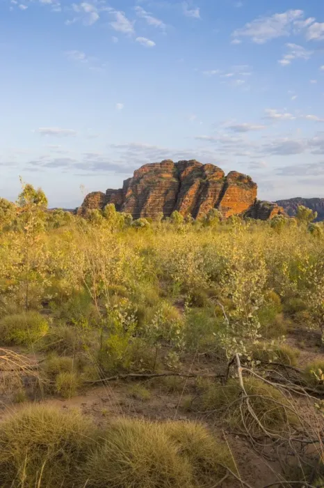 Framed Print : Bungle Bungles, beehive-shaped sandstone towers, Purnululu National Park, UNESCO World Heritage Site, Eastern Kimberleys, Western Australia Framed Print : Bungle Bungles, beehive-shaped sandstone towers, Purnululu National Park, UNESCO World Heritage Site, Eastern Kimberleys, Western Australia