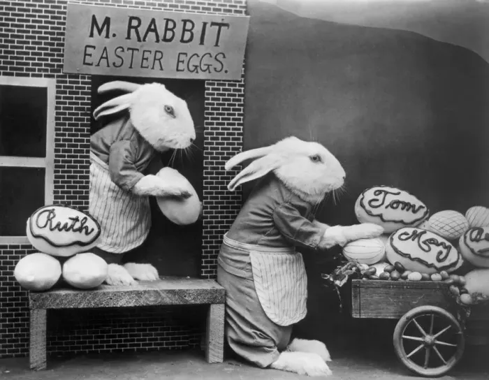 Framed Print : Bunny Business Framed Print : Bunny Business