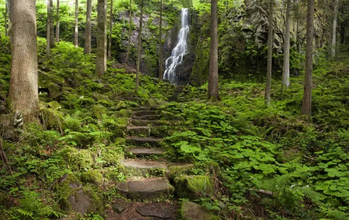 Framed Print : Burgbach Waterfall near Schapbach in the Black Forest, Baden-Wuerttemberg, Germany, Europe Framed Print : Burgbach Waterfall near Schapbach in the Black Forest, Baden-Wuerttemberg, Germany, Europe