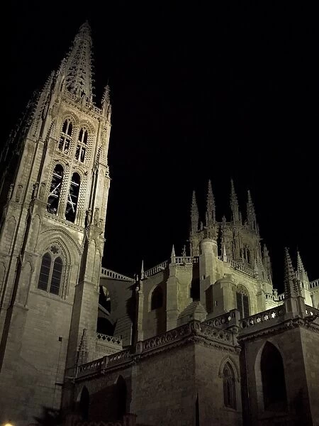 Burgos Cathedral By the night