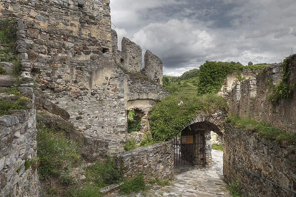 Burgruine Senftenberg castle ruins, Kremstal calley, Wachau, Lower Austria, Austria, Europe
