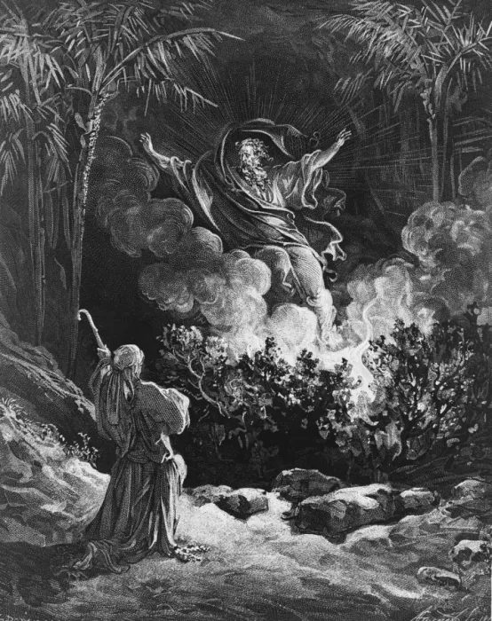 Framed Print : The Burning Bush Framed Print : The Burning Bush