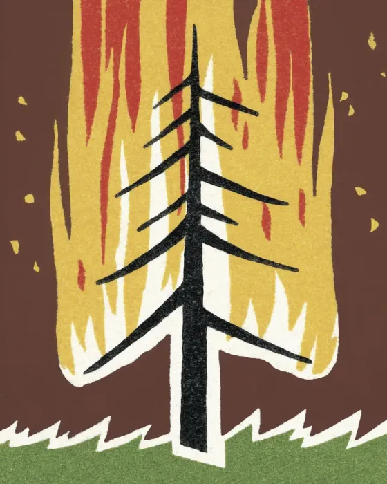 Framed Print : Burning Tree Framed Print : Burning Tree