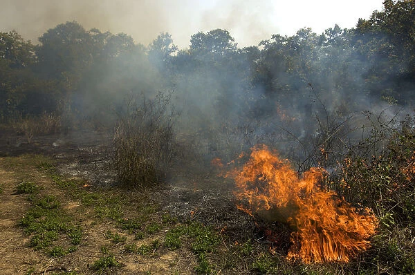 Bush fire with heavy smoke emission, Chitwan National Park, Nepal, Asia