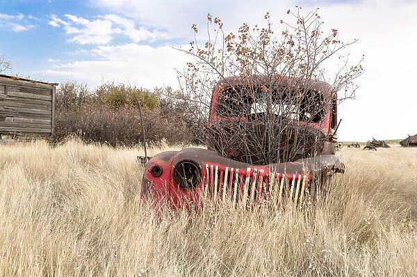 A bush grows out of a trucks engine block