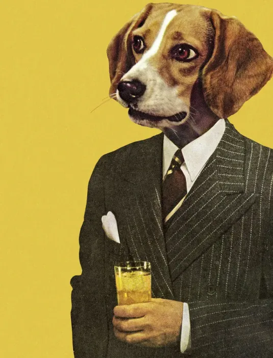 Framed Print : Businessman with a Dog Head Framed Print : Businessman with a Dog Head