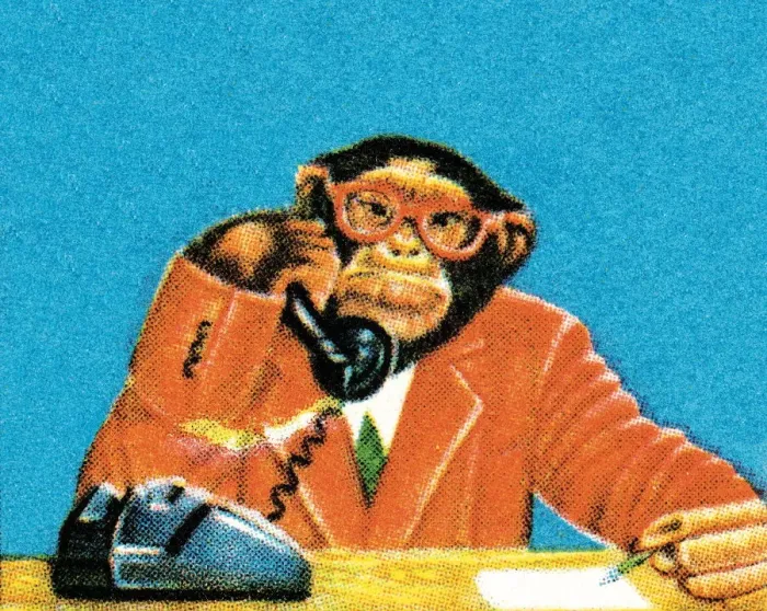Framed Print : Businessman Monkey on the Phone