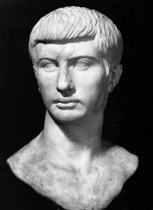 Framed Print : Bust of Brutus Framed Print : Bust of Brutus