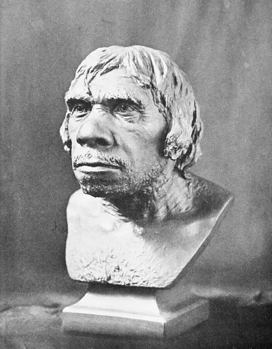 Framed Print : Bust of Prehistoric Man