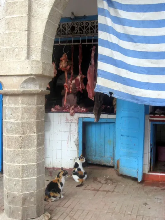 Framed Print : Butcher shop, Essaouira, Morocco Framed Print : Butcher shop, Essaouira, Morocco