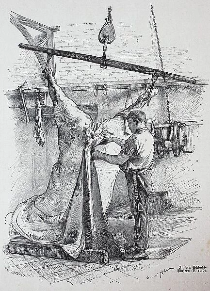 Butcher, Slaughterhouse in Berlin, Germany, Historical, digitally restored reproduction of an original from the 19th century