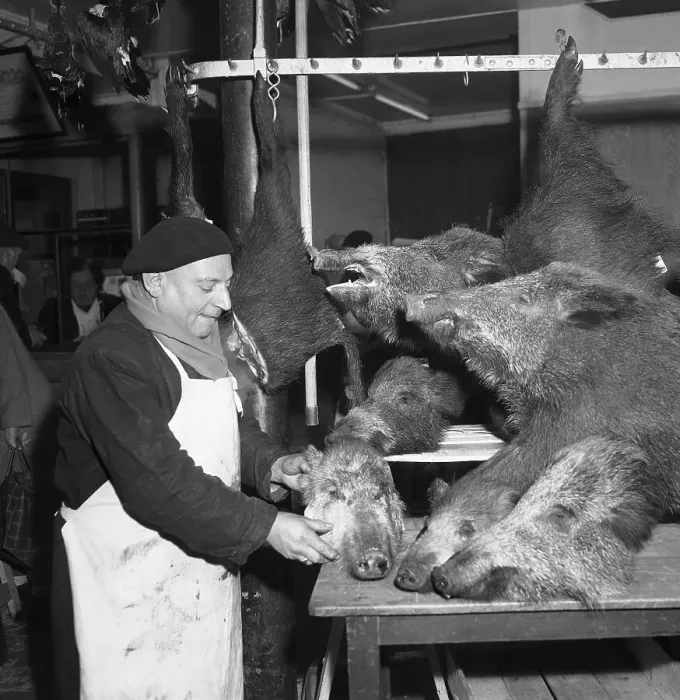 Framed Print : Butcher with Wild Boar