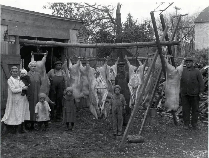 Framed Print : Butcher'S Shop;Backyard, Hanging Carcasse Framed Print : Butcher'S Shop;Backyard, Hanging Carcasse