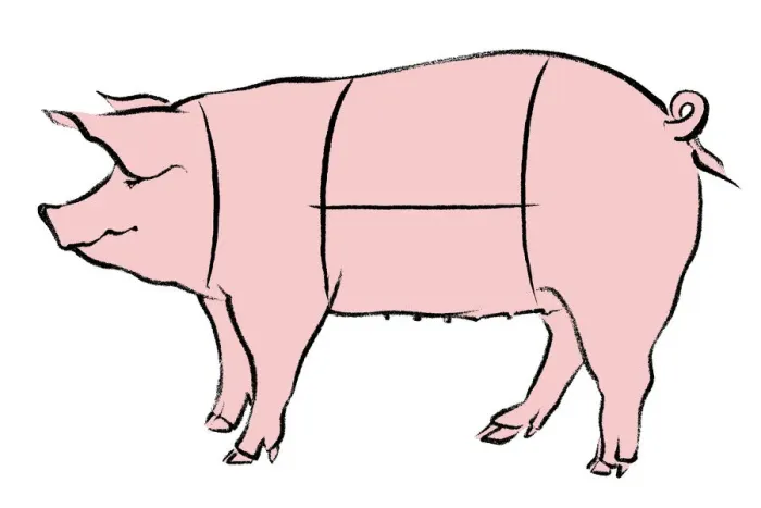 Framed Print : butchery, colour, cut, cutting, illustration, making, meat, nobody, peach coloured Framed Print : butchery, colour, cut, cutting, illustration, making, meat, nobody, peach coloured