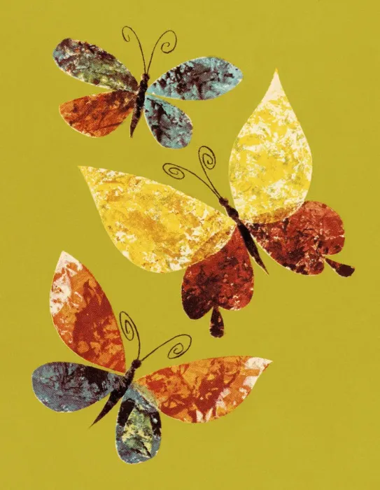 Framed Print : Butterflies Framed Print : Butterflies