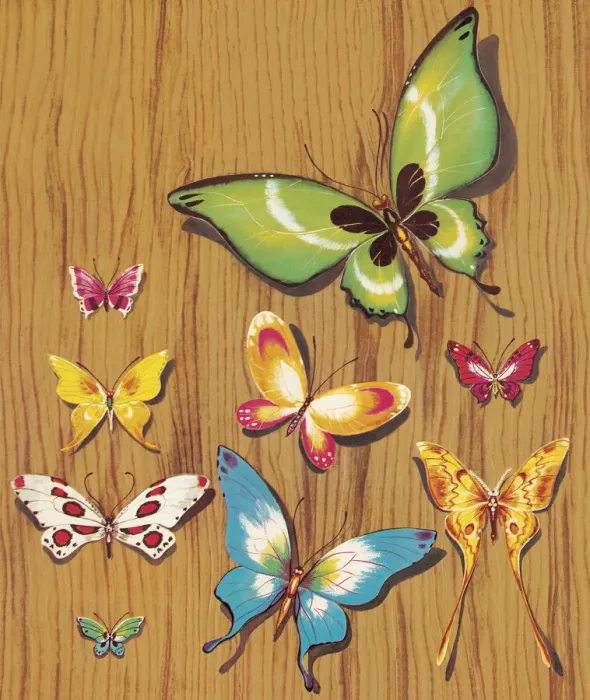 Framed Print : Butterflies Framed Print : Butterflies