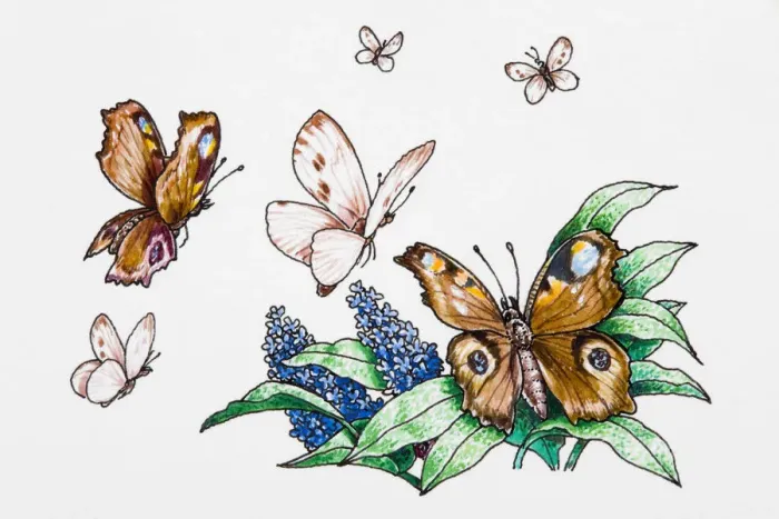 Framed Print : Butterflies and hyacinths Framed Print : Butterflies and hyacinths