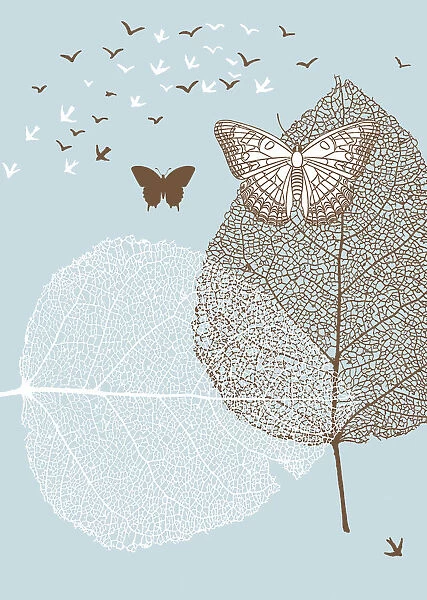 Butterflies; Leaves; Birds