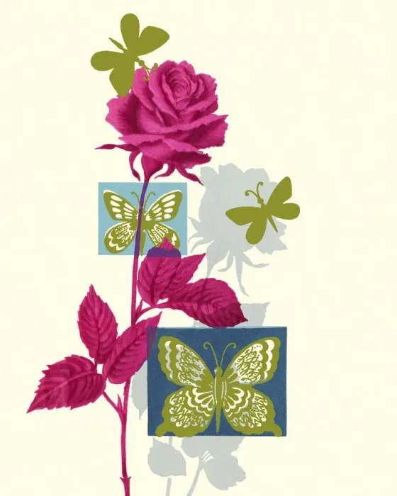 Framed Print : Butterflies and a Rose Framed Print : Butterflies and a Rose