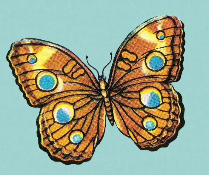 Framed Print : Butterfly. http: / / csaimages.com / images / istockprofile / csa_vector_dsp.jpg Framed Print : Butterfly. http: / / csaimages.com / images / istockprofile / csa_vector_dsp.jpg