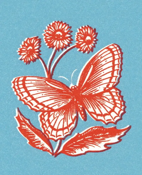 Framed Print : Butterfly. http: / / csaimages.com / images / istockprofile / csa_vector_dsp.jpg Framed Print : Butterfly. http: / / csaimages.com / images / istockprofile / csa_vector_dsp.jpg
