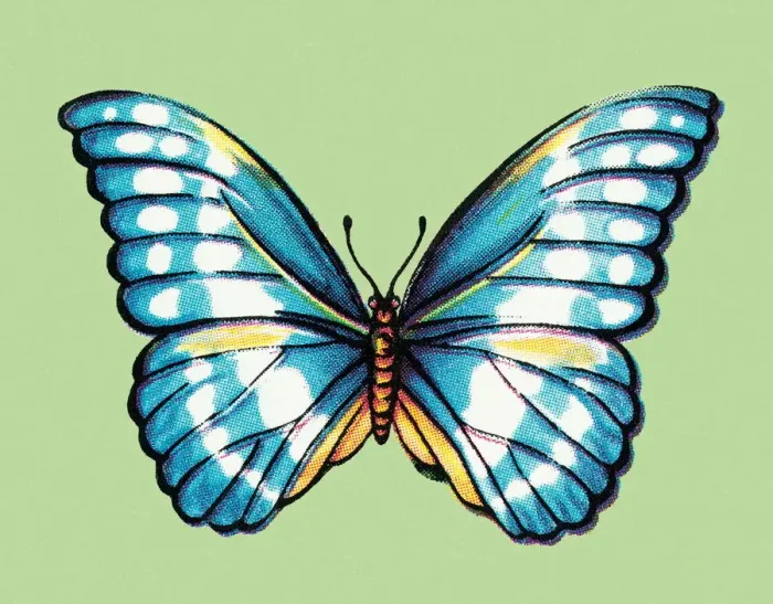 Framed Print : Butterfly. http: / / csaimages.com / images / istockprofile / csa_vector_dsp.jpg Framed Print : Butterfly. http: / / csaimages.com / images / istockprofile / csa_vector_dsp.jpg