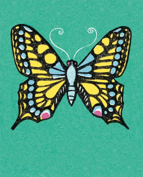 Framed Print : Butterfly. http: / / csaimages.com / images / istockprofile / csa_vector_dsp.jpg Framed Print : Butterfly. http: / / csaimages.com / images / istockprofile / csa_vector_dsp.jpg