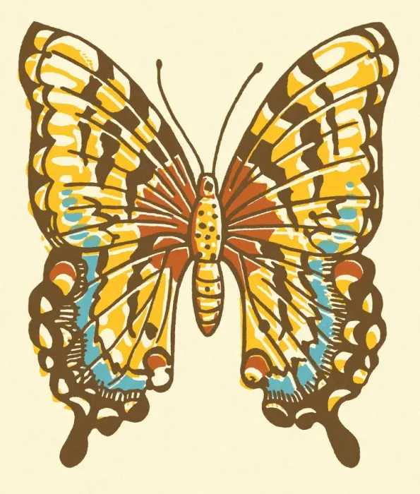 Framed Print : Butterfly. http: / / csaimages.com / images / istockprofile / csa_vector_dsp.jpg Framed Print : Butterfly. http: / / csaimages.com / images / istockprofile / csa_vector_dsp.jpg
