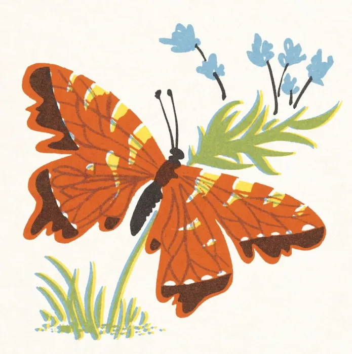 Framed Print : Butterfly. http: / / csaimages.com / images / istockprofile / csa_vector_dsp.jpg Framed Print : Butterfly. http: / / csaimages.com / images / istockprofile / csa_vector_dsp.jpg