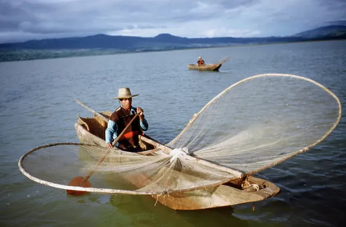 Framed Print : Butterfly Net Fishing Framed Print : Butterfly Net Fishing