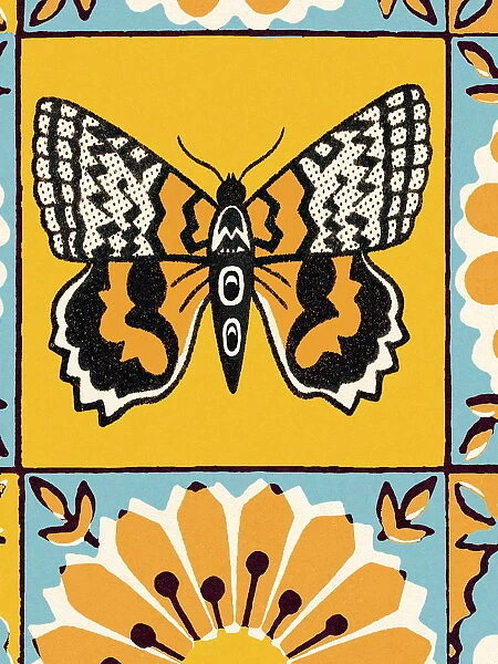 Butterfly pattern