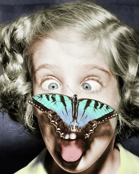 Framed Print : Butterfly Perched on Girl's Nose Framed Print : Butterfly Perched on Girl's Nose