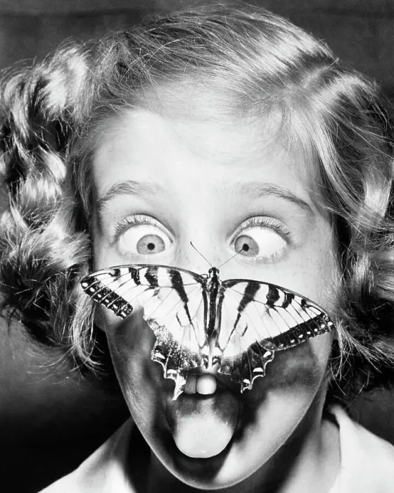 Framed Print : Butterfly Perched on Girl's Nose Framed Print : Butterfly Perched on Girl's Nose