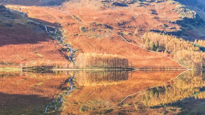 Framed Print : Buttermere