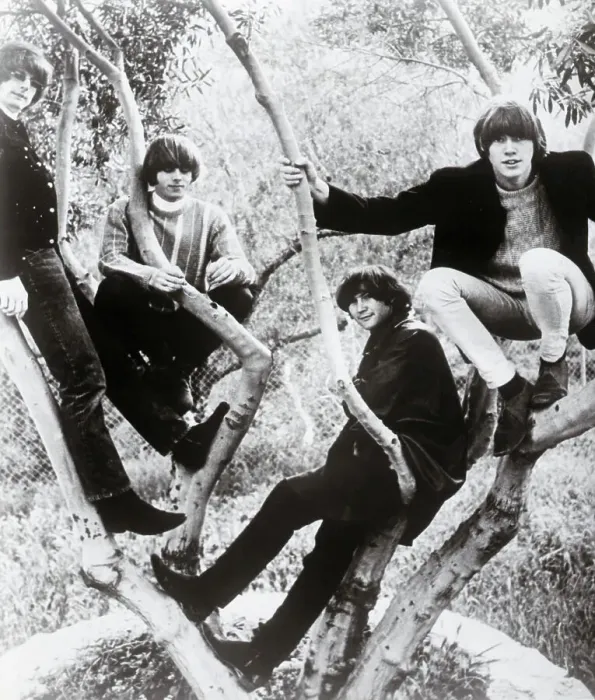 Framed Print : The Byrds Musical Group Framed Print : The Byrds Musical Group