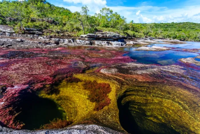 Framed Print : CaAno Cristales, River of Five Colors Framed Print : CaAno Cristales, River of Five Colors