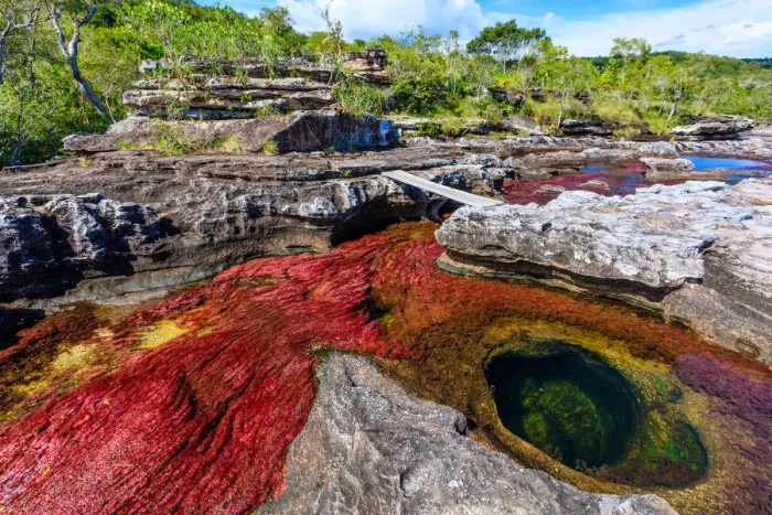 Framed Print : CaAno Cristales, River of Five Colors Framed Print : CaAno Cristales, River of Five Colors